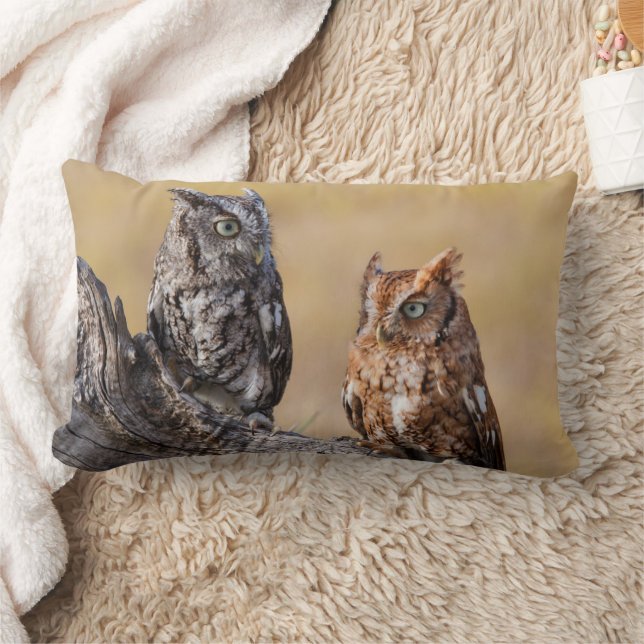 Oosterse schroevendraaide Ow Roosting in Tree Kussen (Deken)