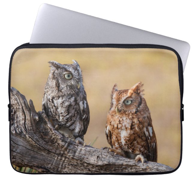 Oosterse schroevendraaide Ow Roosting in Tree Laptop Sleeve (Voorkant)