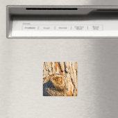 Oosterse schroevendraaier magneet (Insitu (Vaatwasser))