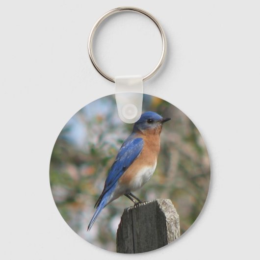 Oosterse Sleutelhanger van Bluebird Male (Voorkant)