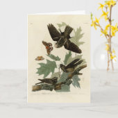 Oosterse Whip-poor-will, Audubon's Birds of Americ Kaart (Gele Bloem)