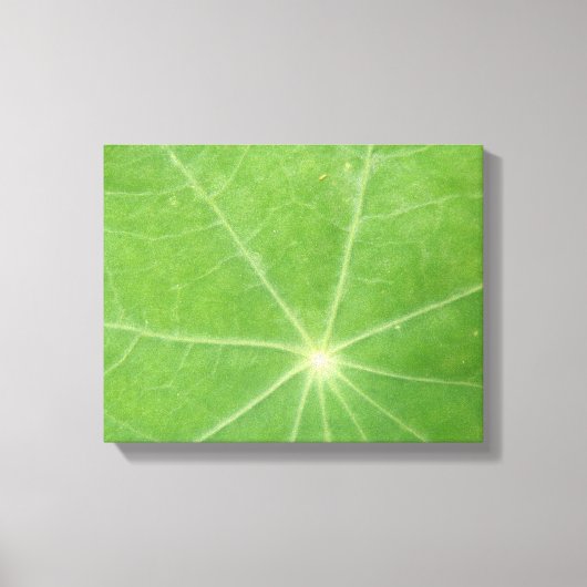 Oostindische Kers Blad Canvasprint Canvas Afdruk (Voorkant)