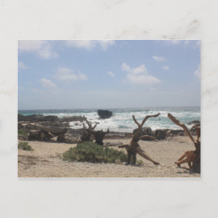 Oostkust van Cozumel Briefkaart