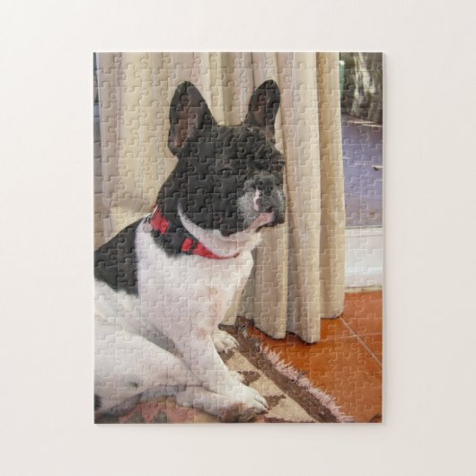 op 3 franse bulldog legpuzzel (Verticaal)