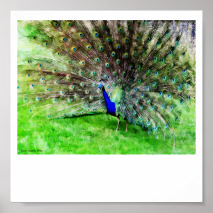 Op beeldscherm afdrukken poster