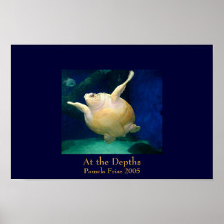 Op de diepten poster