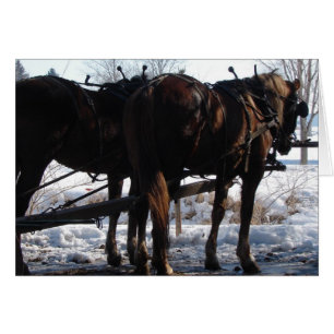 Op de Hitching Post