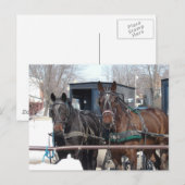 Op de Hitching Post Briefkaart (Voorkant / Achterkant)