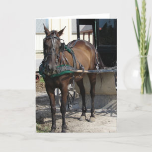 Op de Hitching Post Kaart