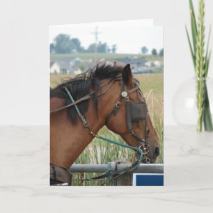 Op de Hitching Post Kaart