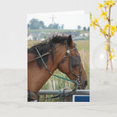 Op de Hitching Post Kaart (Gele Bloem)