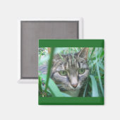 Op de Hunt Kat Magnet Magneet (Voorkant / Achterkant)