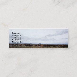 Op de kaarten van het Profiel van de Waaier Mini Visitekaartje