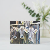 Op de Koeien van de Boerderij Briefkaart (Staand voorkant)