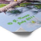 Op de langste pijnboom - poster of druk (Hoek)