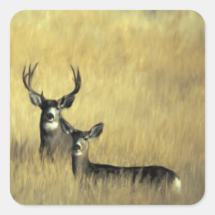 Op de Lookout Mule Herten Vierkante Sticker