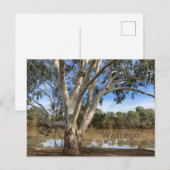 Op de oevers van de Warrego Feestdagenkaart (Voorkant / Achterkant)