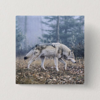 Op de Wolf van de Tijdopnemer Vierkante Button 5,1 Cm