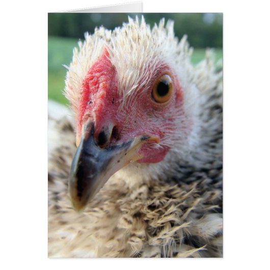 Op dicht en persoonlijk met een vriend (Voorkant)