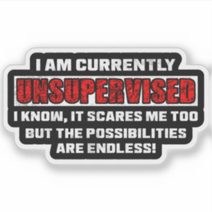 Op dit moment onbegeleid leuk sarcastisch citaat c sticker