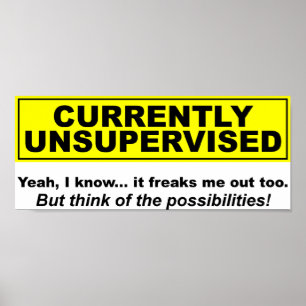 Op dit moment Onbewaakt Grappige Poster