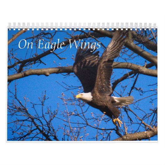 Op Eagle Wings Kalender (Hoes)