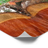 Op een kat lopen - Kat Poster (Hoek)