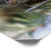 Op eigen benen poster (Hoek)