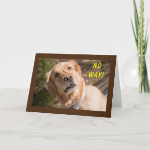 OP GEEN ENKELE MANIER DRAAIEN DE KAART **70**