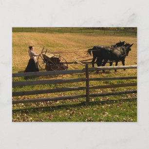 Op het Boerderij Briefkaart