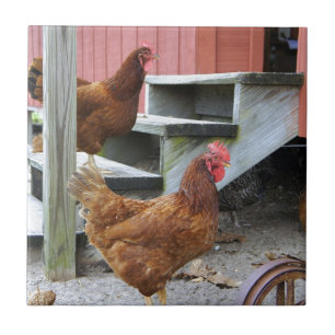Op het Boerderij Tegeltje