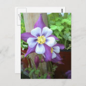 Op het Briefkaart na (Voorkant / Achterkant)