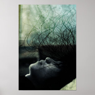 Op het dak poster