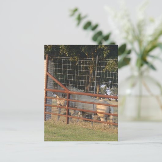 Op het Range Briefkaart (Staand voorkant)