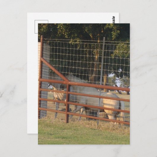 Op het Range Briefkaart (Voorkant / Achterkant)