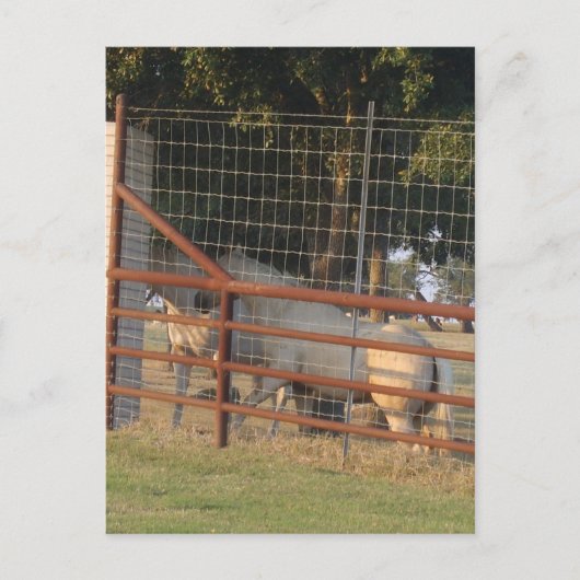 Op het Range Briefkaart (Voorkant)