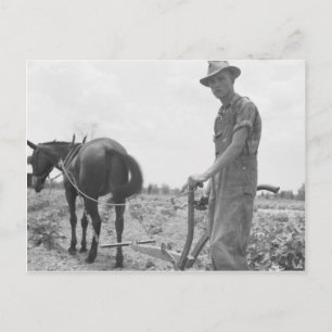 Op het werk in de Katoen Briefkaart