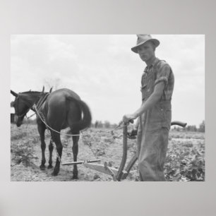 Op het werk in de katoen poster