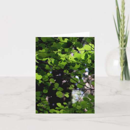 Op in de Kaart van de Nota van Bomen (Voorkant)