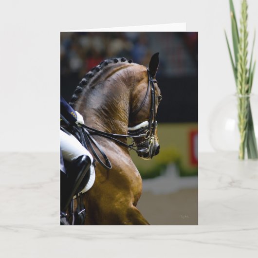 Op in de Kaart van de Teugel (Voorkant)