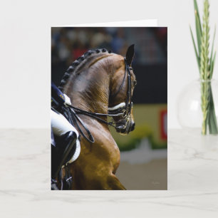 Op in de Kaart van de Teugel