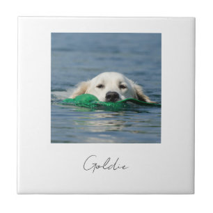 Op maat bedrukt gepersonaliseerd aardewerken hond  tegeltje