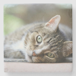 Op maat gemaakte kattenfoto cadeau voor huisdieren stenen onderzetter