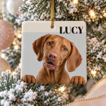 Op maat gemaakte kerstfoto-ornament Hond & Naam