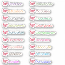 Op maat gemaakte stickers met meerdere namen voor 