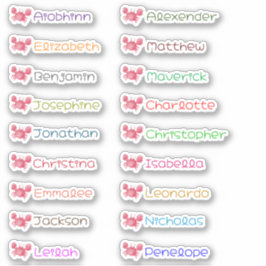 Op maat gemaakte stickers met meerdere namen voor 