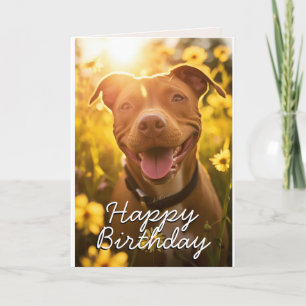 Op maat gemaakte verjaardagskaart voor Pitbulls Bedankkaart