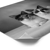 Op maat gemaakte zwart-wit huisdierportretposter i poster (Hoek)