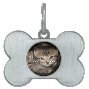 Op Mama's Terug Pet ID Tag Huisdieren Naamplaatje