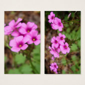 Op mijn Bladwijzer voor de deur Visitekaartje (Voorkant /achterkant)